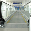 Steady & Durable Moving Sidewalk with Vvvf Drive